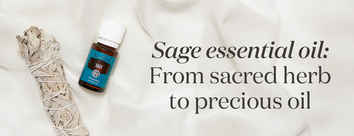 Sage essential oil: From sacred herb to precious oil - Young Living Lavender Life Blog