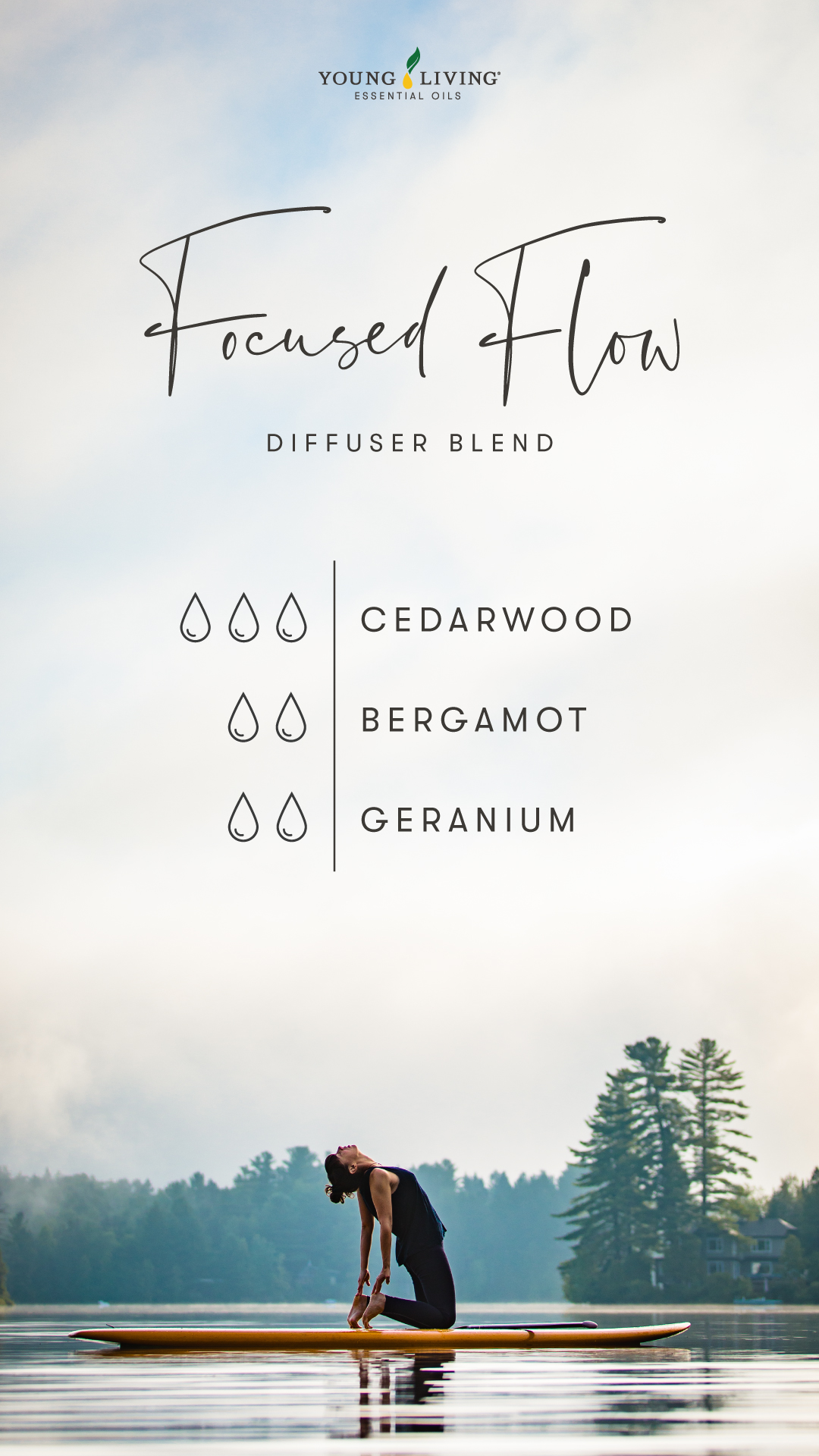 Focused Flow Diffuser Blend - 3 drops Cedarwood, 2 drops Bergamot, 2 drops Geranium