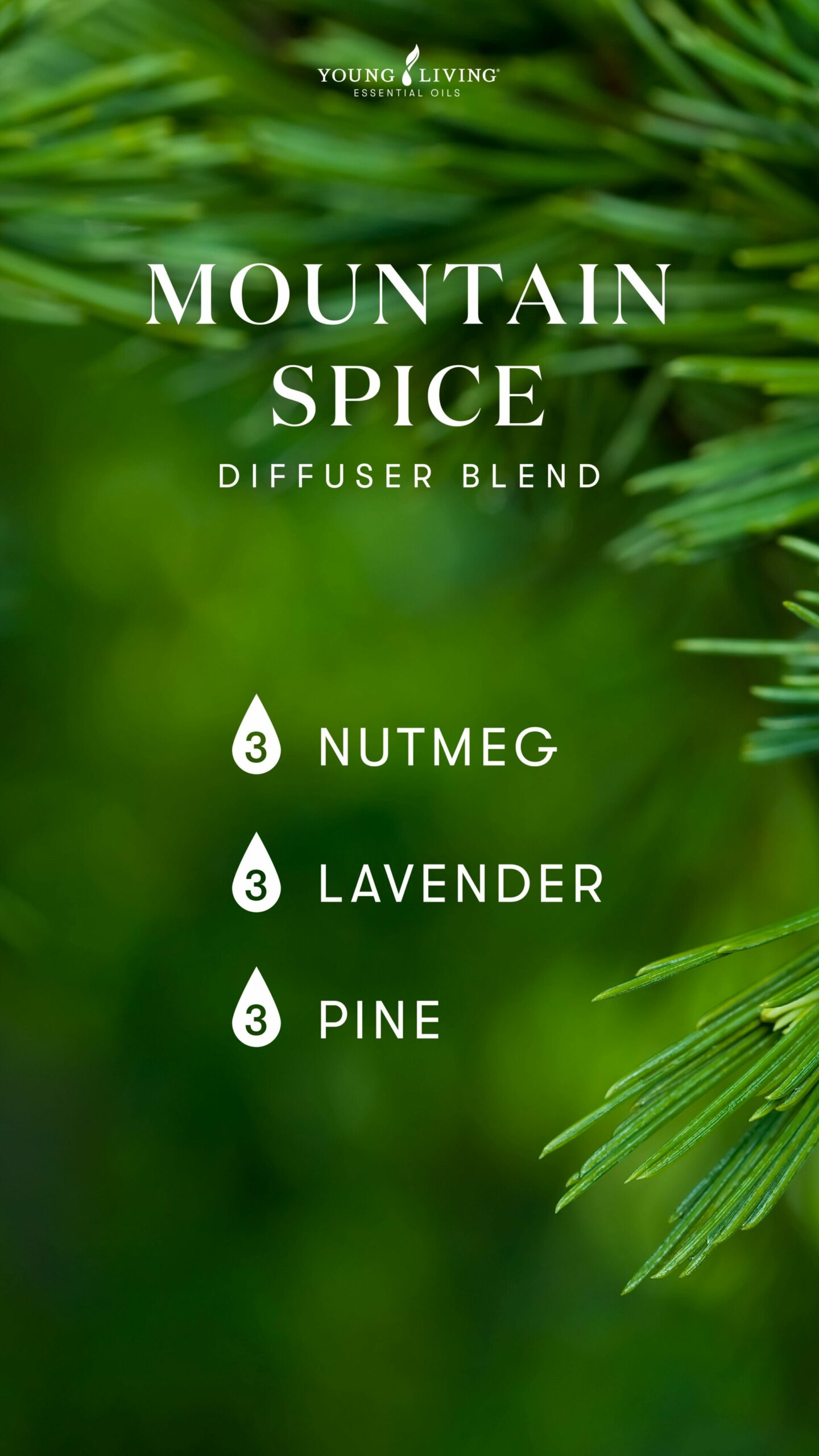 Mountain Spice Diffuser Blend - Young Living Lavender Life Blog 