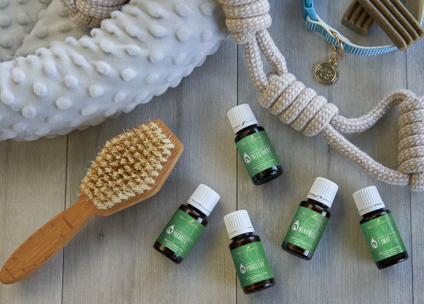 Animal Scents Essential Oils - Young Living Essential Oils 