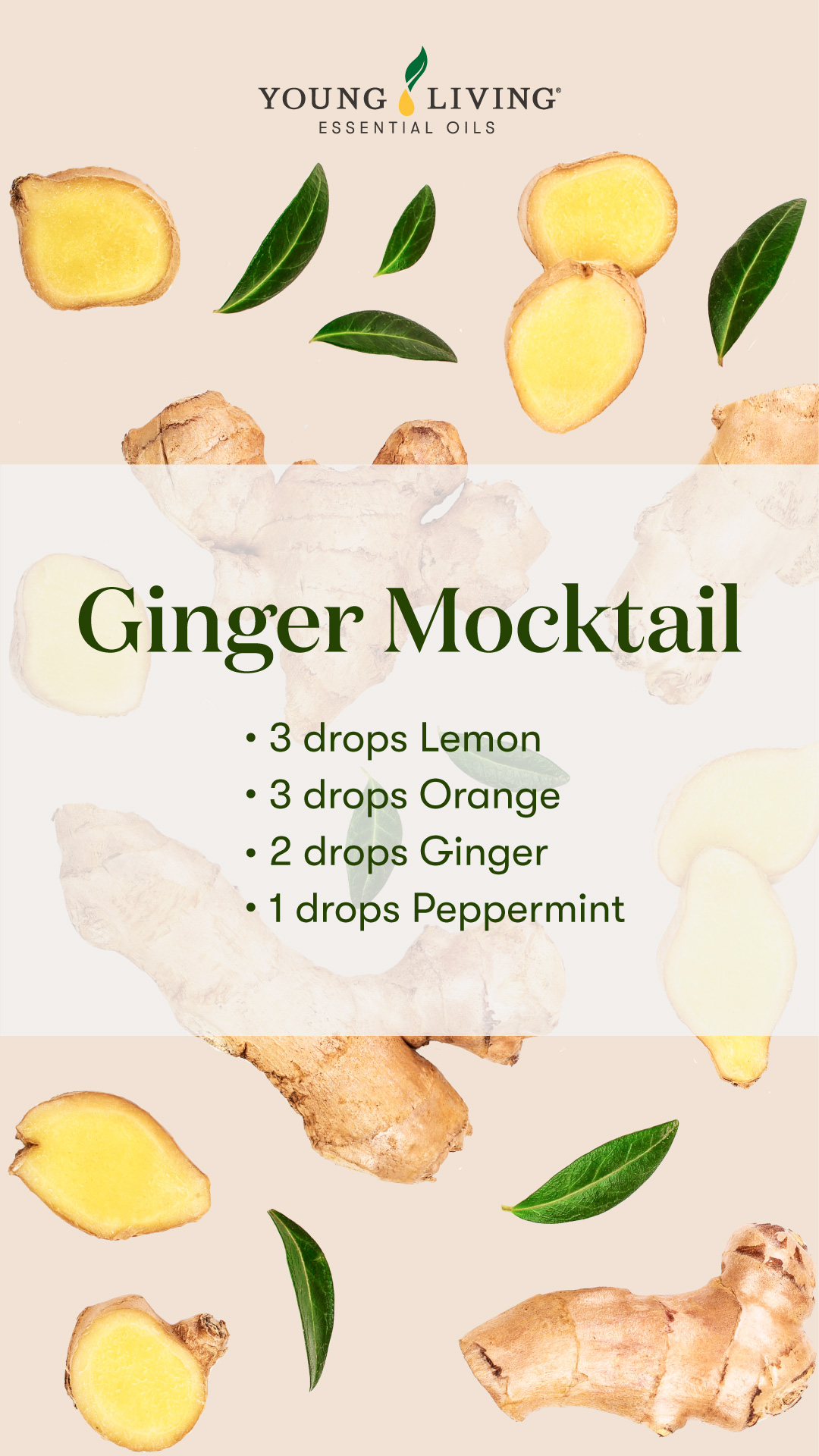 Ginger Mocktail diffuser blend 