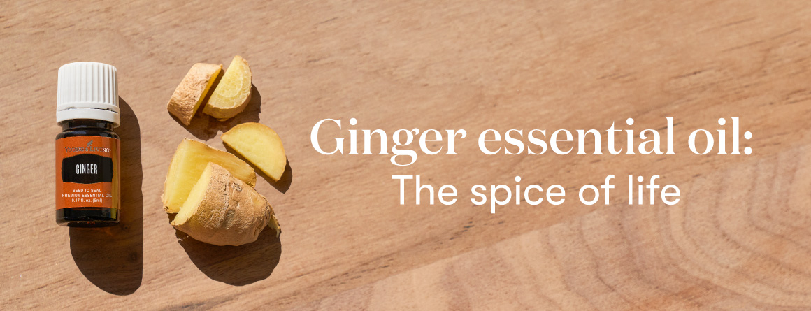 Ginger essential oil: The spice of life - Young Living Lavender Life blog