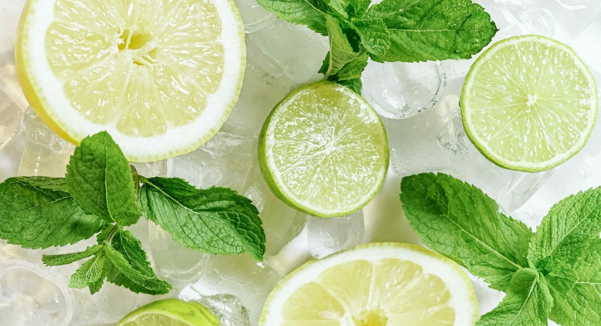 Lemon and lime slices with fresh mint and ice - Young Living Lavender Life blog 