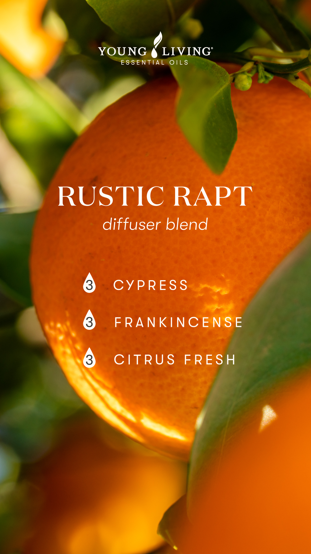 Rustic Rapt diffuser blend - Young Living Lavender Life Blog