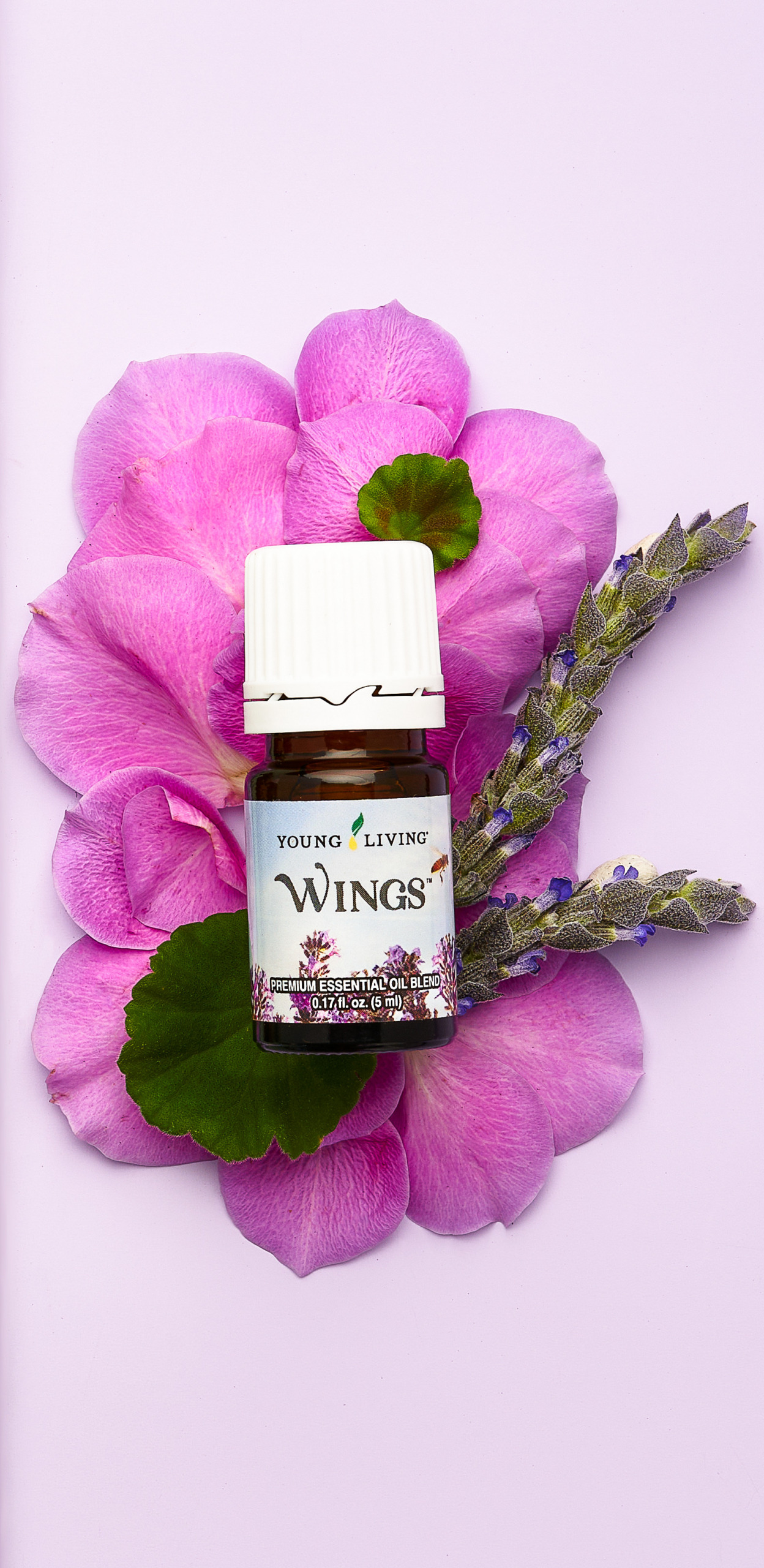 Wings essential oil blend