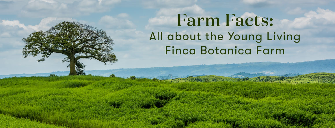 Get to Know the Young Living Finca Botanica Farm | Young Living Blog