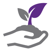 Young Living Seed To Seal - Sourcing