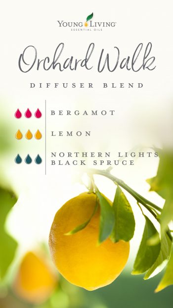 3 drops Bergamot 3 drops Lemon 3 drops Northern Lights Blue Spruce