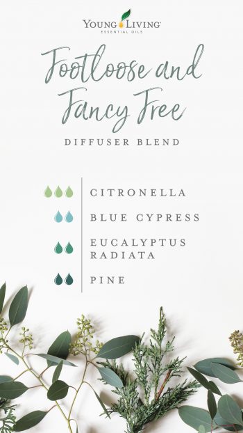 3 drops Citronella 2 drops Blue Cypress 2 drops Eucalyptus Radiata 2 drops Pine
