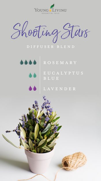 4 drops Rosemary 2 drops Eucalyptus Blue 2 drops Lavender