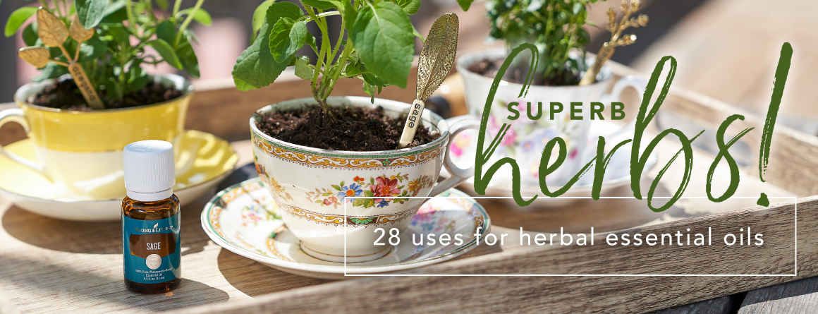 essential oil herb tags in teacups with botanicals
