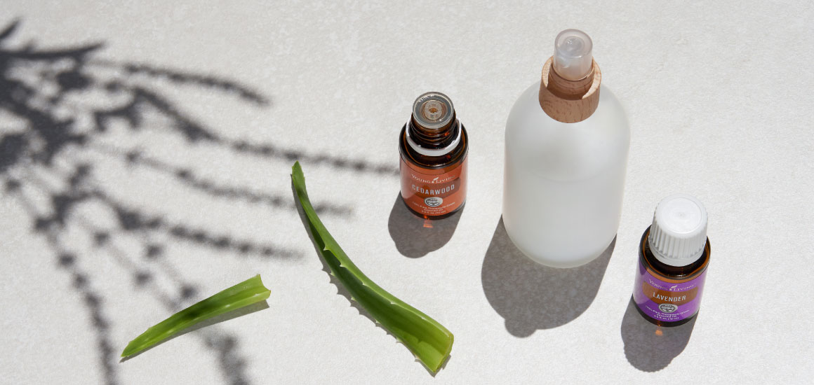 DIY leave in conditioner with aloe on countertop