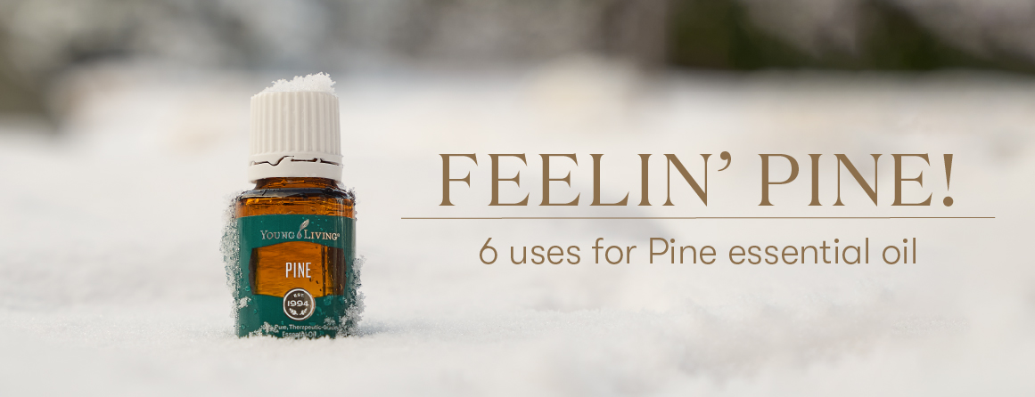 6 uses for pine