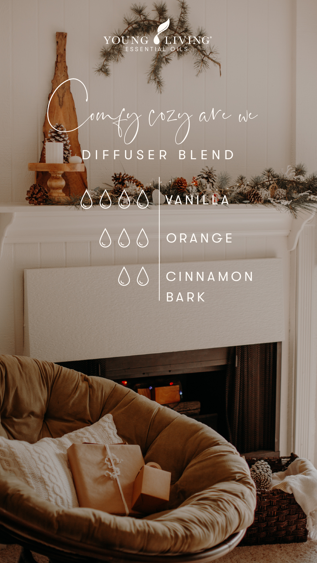 Young Living Holiday Diffuser Blend - comfy cozy are we
