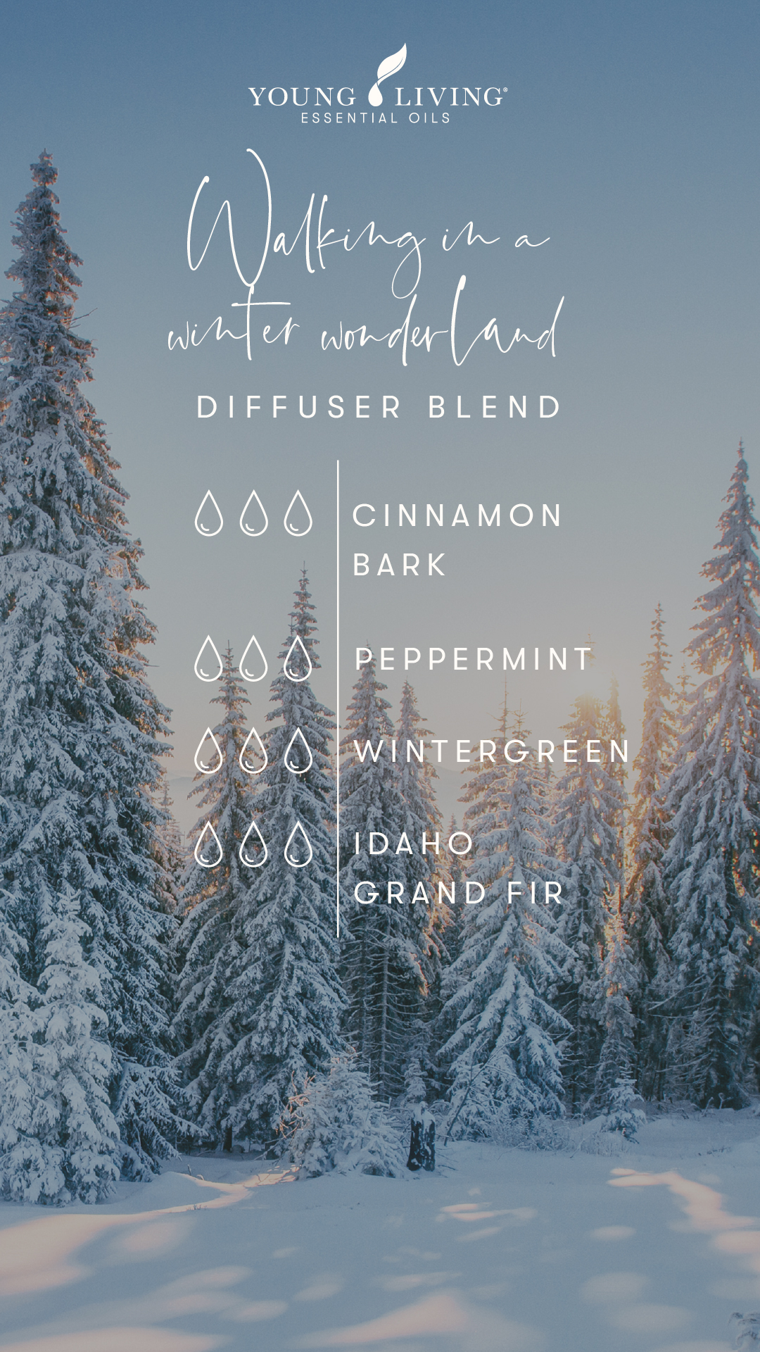 Young Living Essential Oil Blends - Walking in a winter wonderland