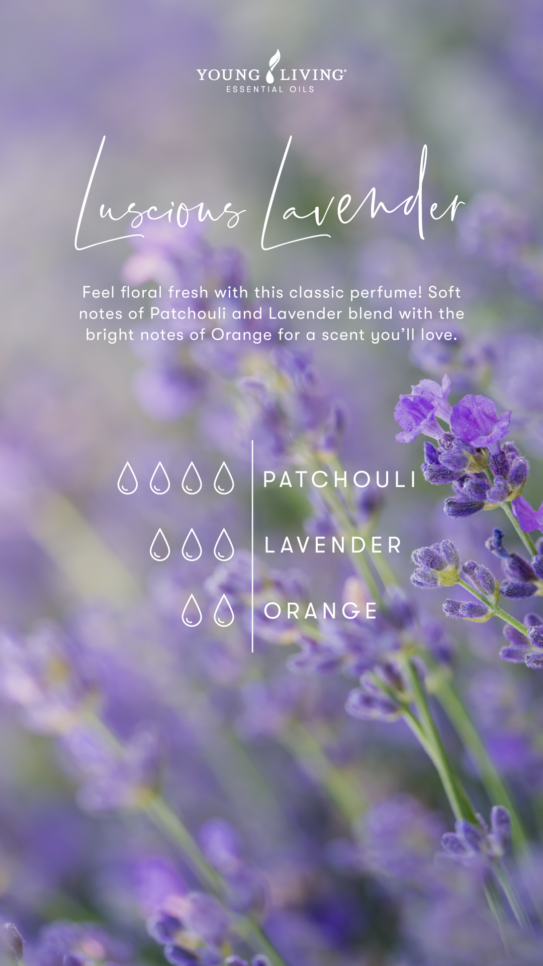 Luscious lavender Perfume Recipe
