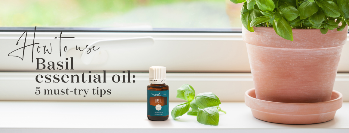 How to use Young Living Basil Essential oil
