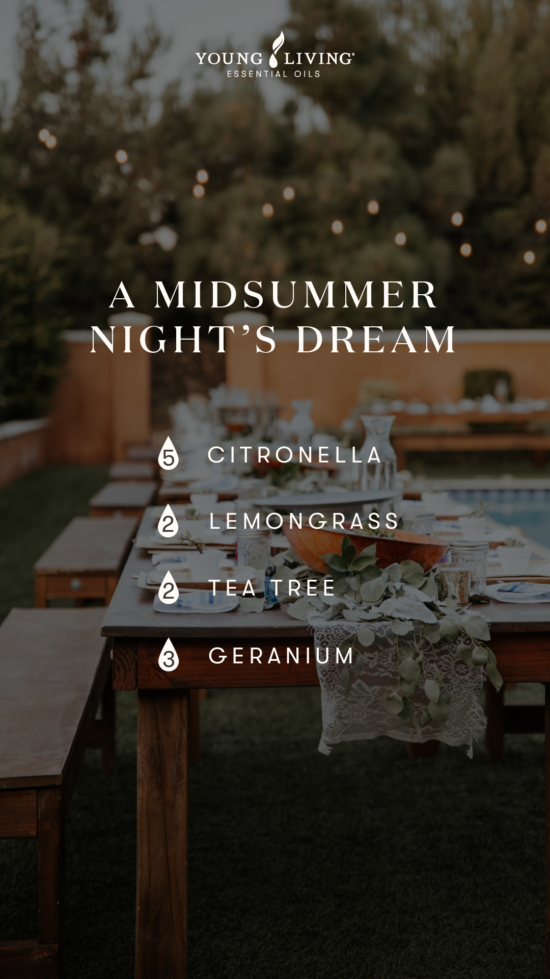 A midsummer night's dream diffuser blend