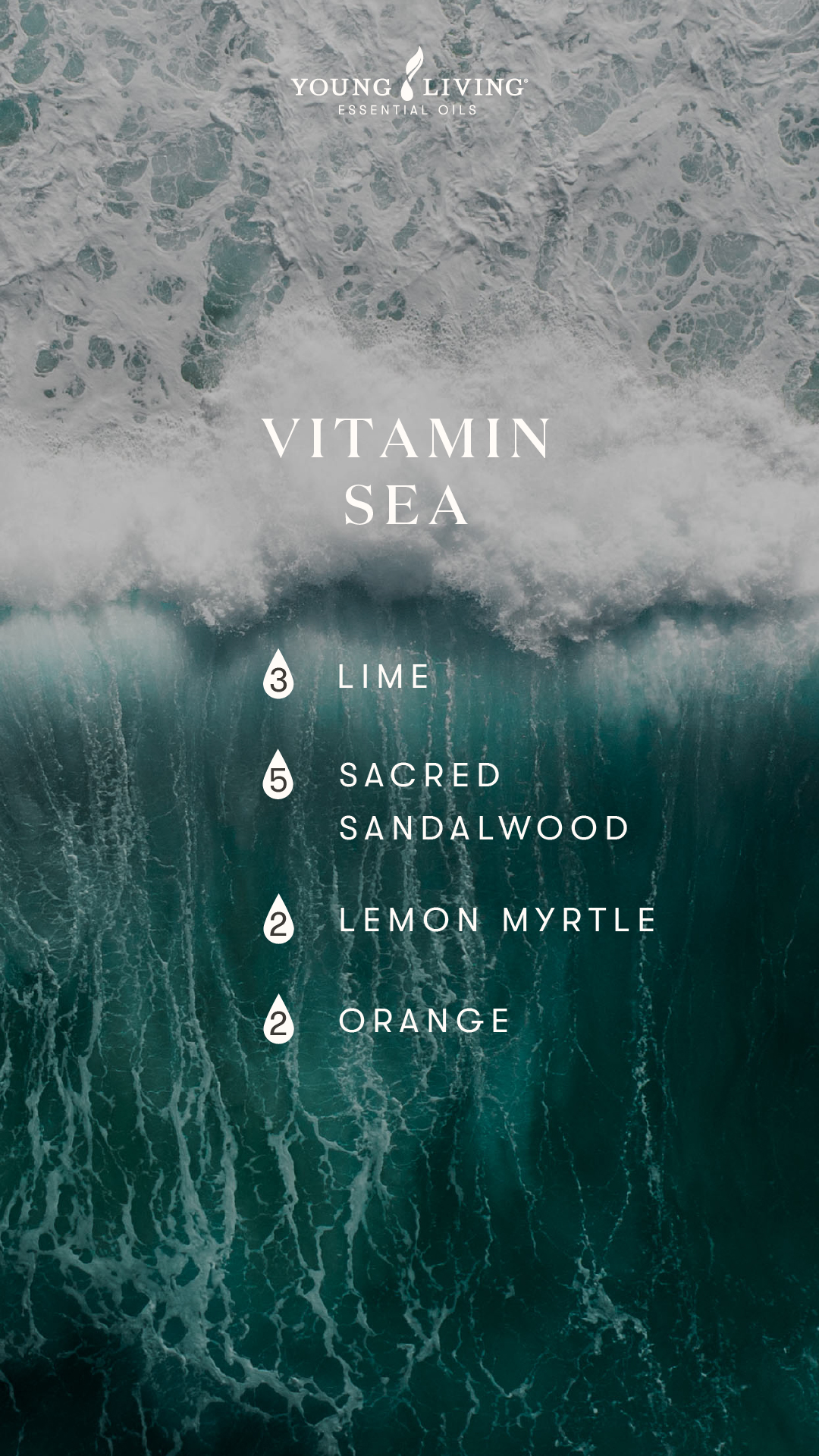 Vitamin sea summer diffuser blend