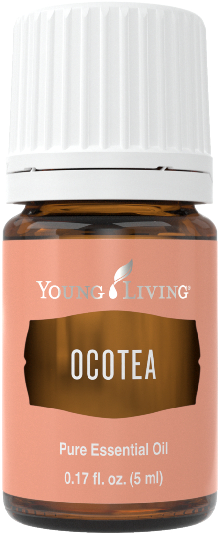 Ocotea essential oil - Young Living essential oils