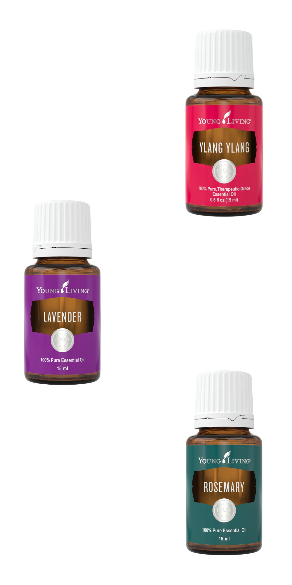 Ylang Ylang, Lavender, & Rosemary Essential Oils--Young Living Essential Oils