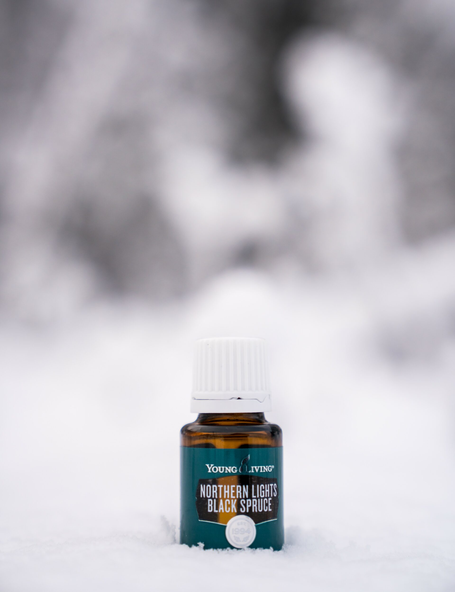 Northern Lights Black Spruce essential oil sitting in the snow- Young Living Lavender Life Blog 
