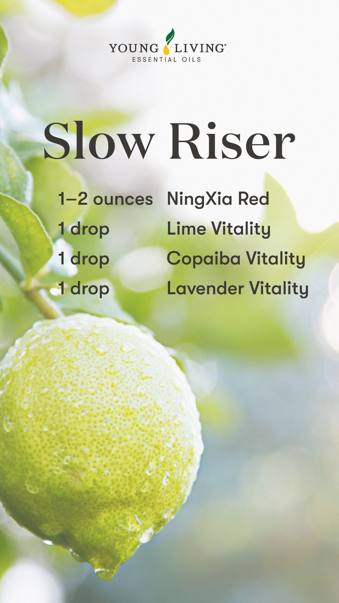 Slow Riser NingXia Red shot blend - • 1–2 ounces NingXia Red • 1 drop Lime Vitality essential oil • 1 drop Copaiba Vitality essential oil • 1 drop Lavender Vitality essential oil - Young Living Lavender Life Blog