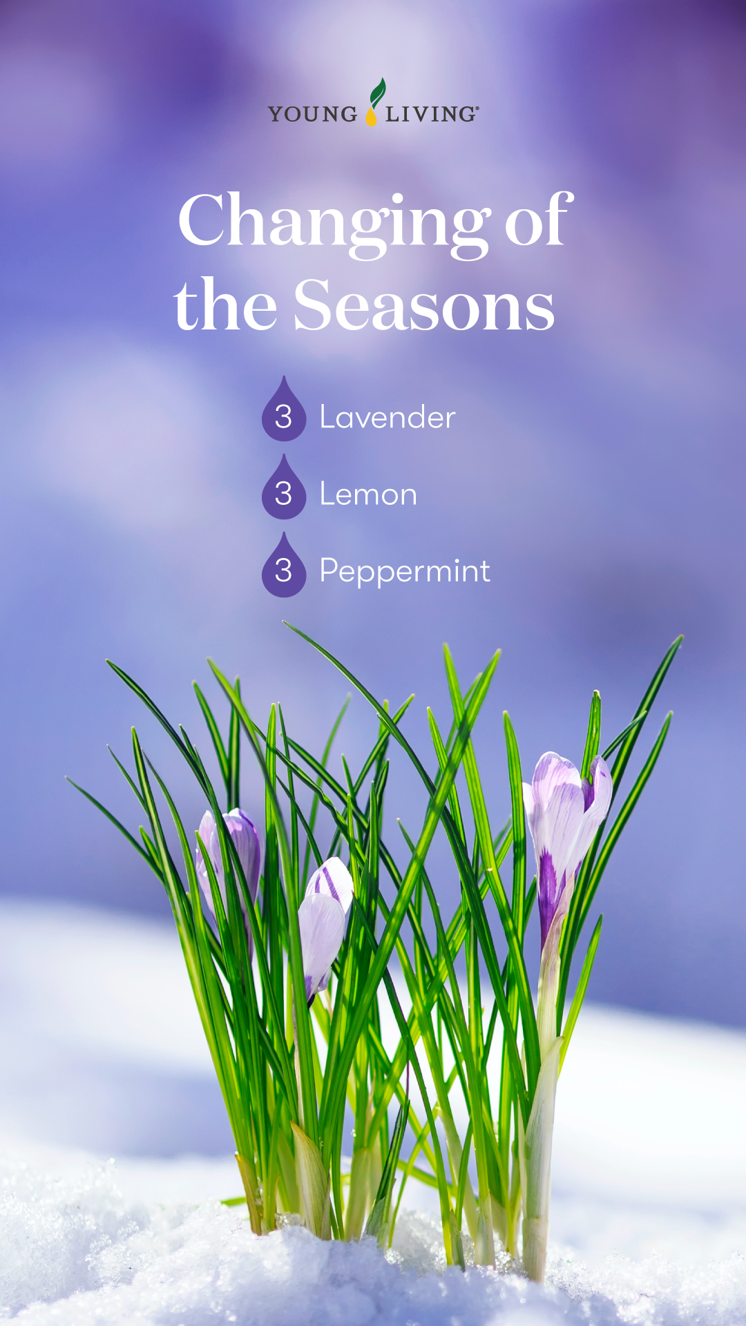 Changing of the Seasons - Spring Diffuser Blend