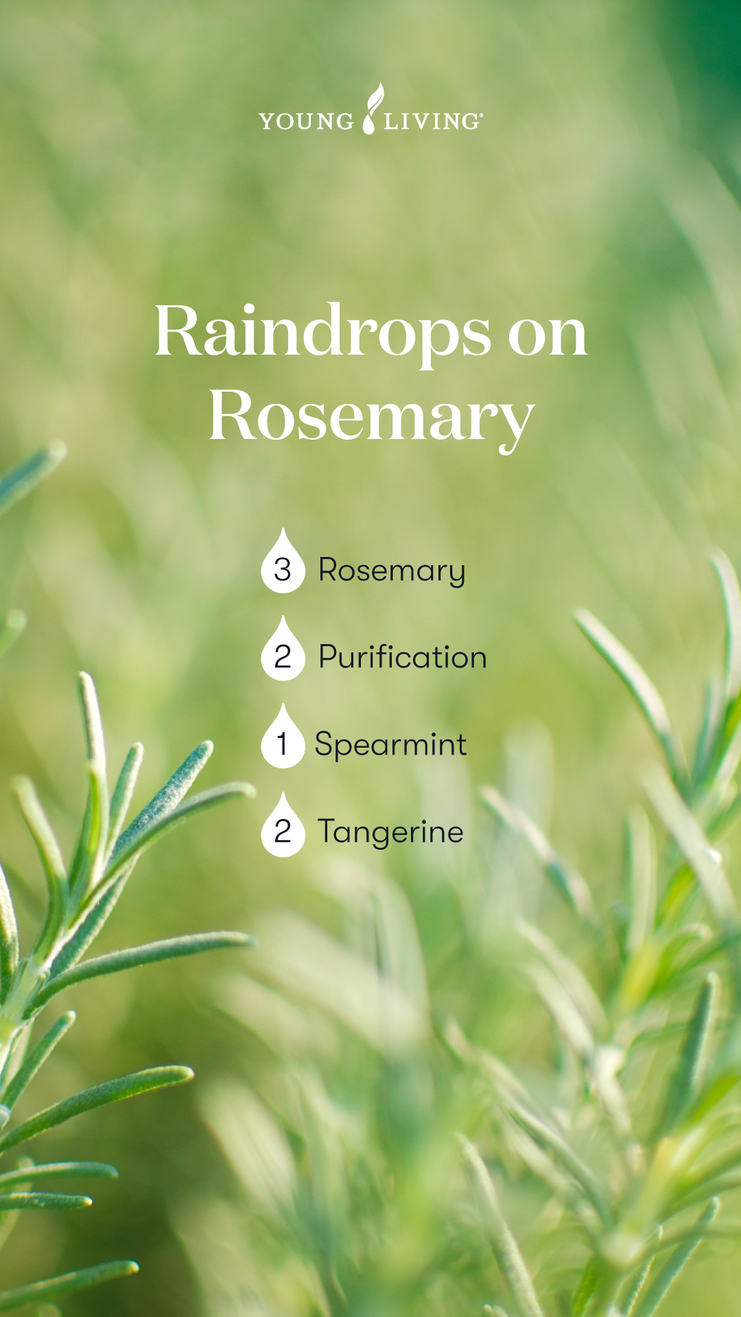 Spring Diffuser Blends - Raindrops on Rosemary