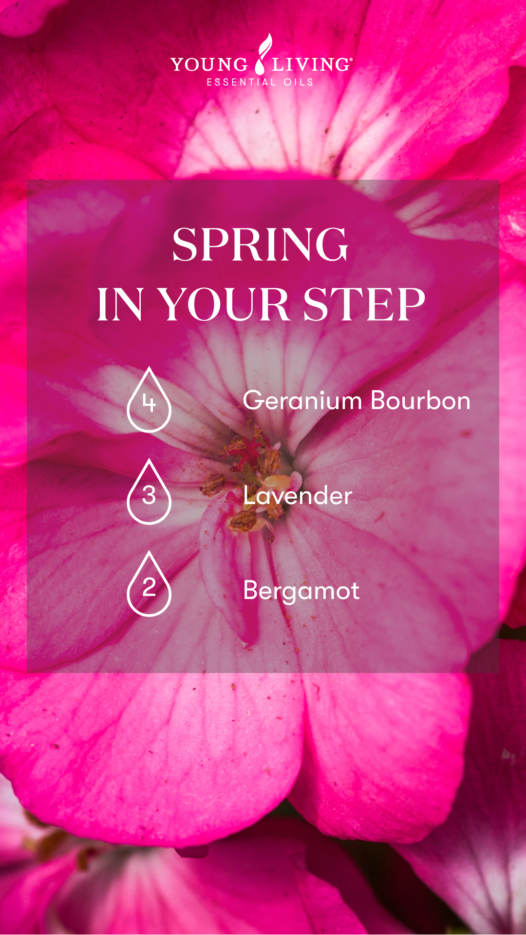 Spring In Your Step diffuser blend - - 4 drops Geranium Bourbon essential oil 3 drops Lavender essential oil 2 drops Bergamot essential oil - Young Living Lavender Life Blog 