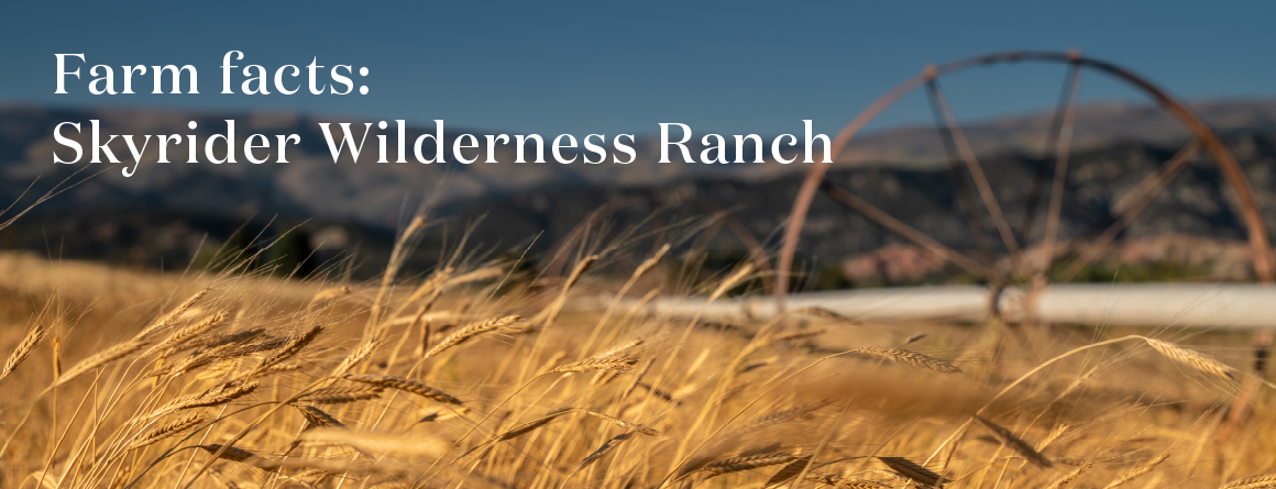 Skyrider Wilderness Ranch - Young Living Essential oils