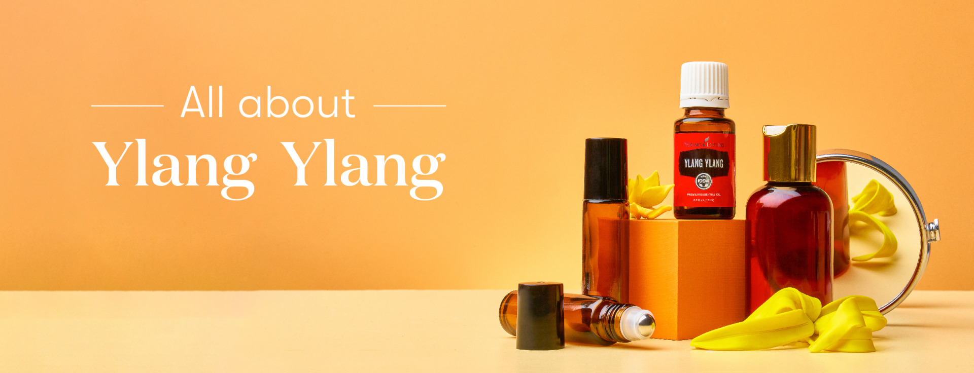 Blog-All about Ylang Ylang